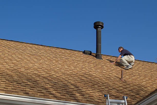 Best Storm Damage Roof Repair  in Plainview, TN